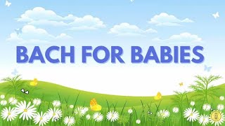 Bach for Babies: Minuet in G Major (Piano Lullaby)