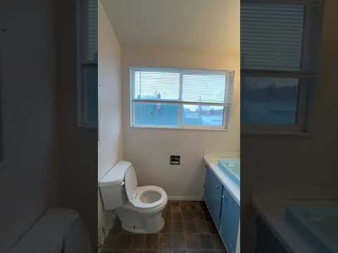 y80116 - Video 2 of 2