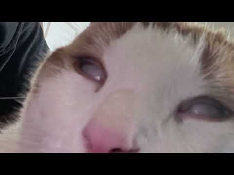 itus - Karma  (audio)