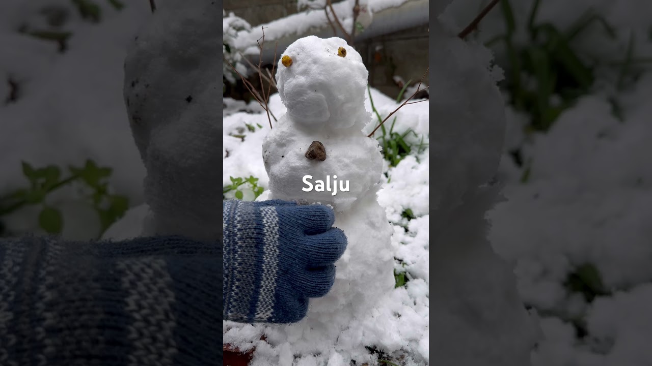 Salju lumayan banyak