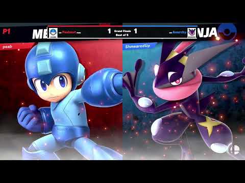 Peabnut (Mega Man) vs Anarchy (Greninja) - Grand Final - Modern Nest #4