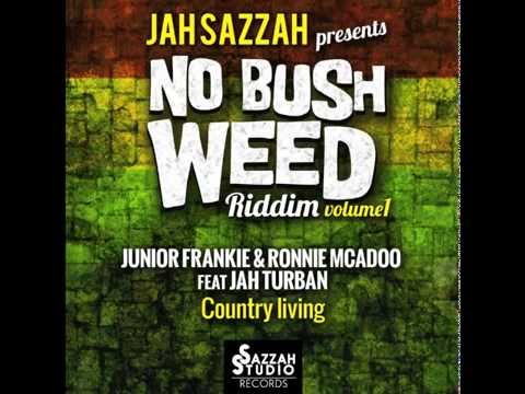 Junior Frankie & Ronnie McAdoo ft  Jah Turban - Country Living [Prod.Jah Sazzah]