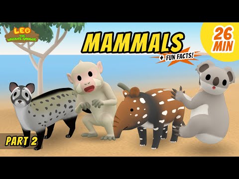 Witness21 Editor  2021 01 02