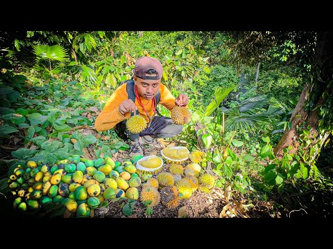 5 Hari berburu buah durian,mangga digunung & strike sidat bertubi-tubi disungai!!!! #KOOKIKO 