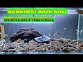 Aquarium Ikan Hias Batu Alam