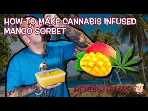 Cannabis Infused Mango Sorbet Recipe — 4 Easy Steps