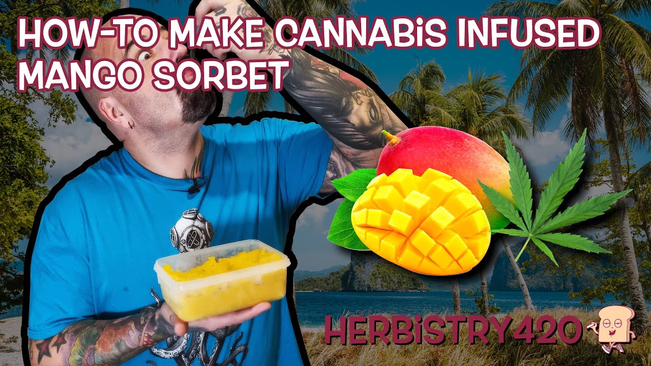 Cannabis Infused Mango Sorbet Recipe — 4 Easy Steps