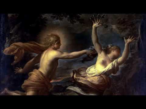 G.P.Telemann: Concerto in A minor for Violin, Strings & B.c TWV 51:a2