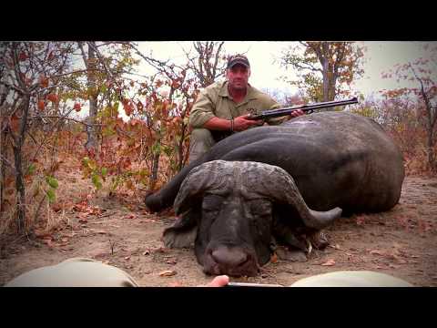 Camp & Accommodation