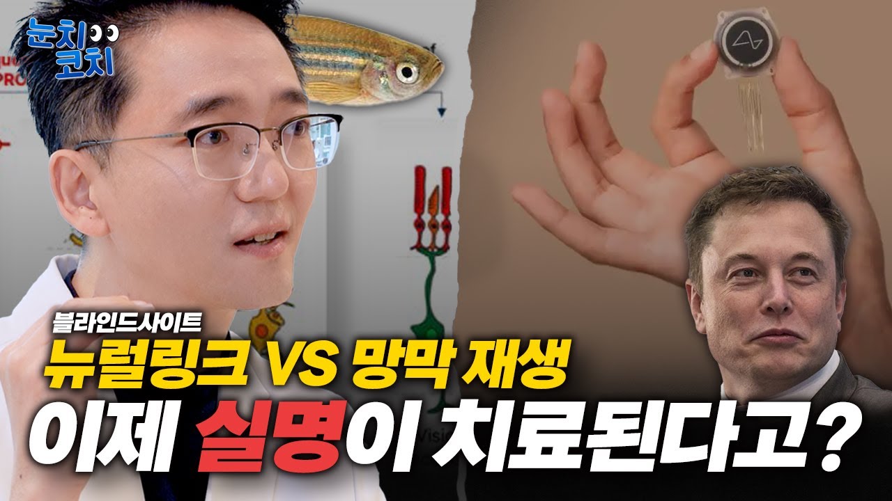 실명 치료 기술 전격 비교! 뉴럴링크 vs 망막 재생