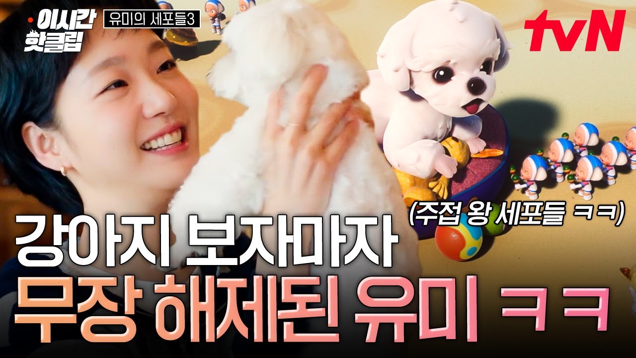 [#유미의세포들3] 강아도 강아 냄새를 좋아하나 봄.. (ᐡ⦁⩊⦁⸝⸝ᐡ )₊୭ 말티즈 팬클럽 회장 유미의 잠