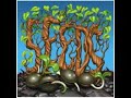 The Seeds   Many Years Ago