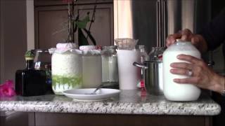 How to Make the Sweetest  Homemade  Milk Kefir!