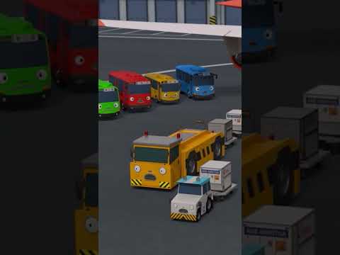 空港のお友達の休日 #Shorts #タヨ