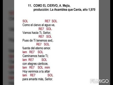 Como El Ciervo - Alejandro Mejia Pereda