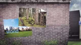 Champion of the World