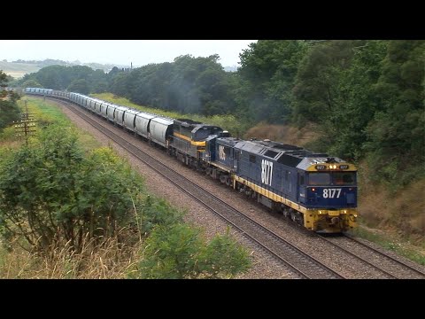 Australian diesel locomotives 8177, 48156 & C501 - Unanderra to Exeter - January 2006