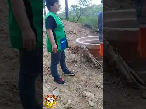 Fiscal do Meio Ambiente Betinha vai até o local da Lagoinha do 72 e Moradores registram o Momento