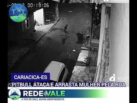 Mulher é atacada por pitbull em Cariacica-ES