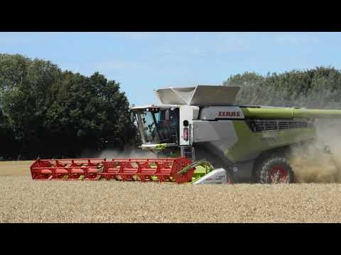Brand New Monster Claas Lexion 8900 Cutting Wheat