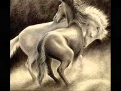 EL QUECO CABALLO GALOPANDO DJ CALABERA