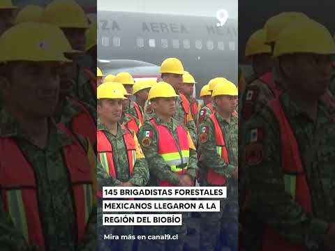145 brigadistas forestales mexicanos llegaron a la Región del Biobío
