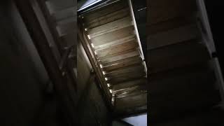 Download lagu Respon Inap 9 Naga di siang hari.. Joss #waletkalimantan mp3