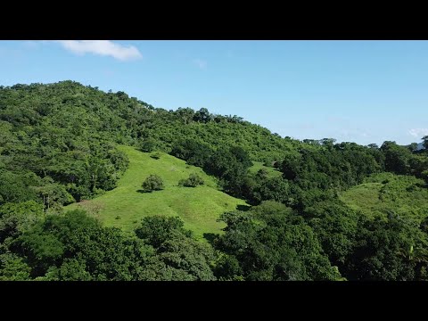 NQA Webinar: How to prepare your EMS for the ISO 14001:2026 transition (FDIS released)