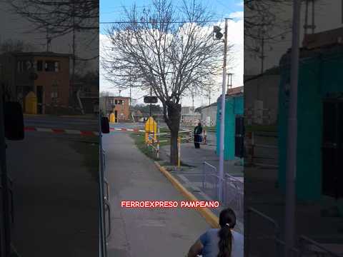 🚂 Tren cargado del FerroExpreso Pampeano en Villa Gobernador Galvez 👌