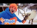 Blippi Plays With Reindeer In The Snow Learn Christmas With Blippi Educational Videos For Kids