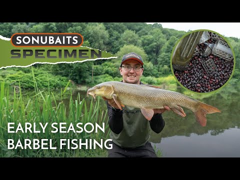 Barbel Fishing The Mighty River Severn! | Harry Pardoe
