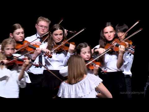 Promotional video thumbnail 1 for Lauren Jackson: Classical Piano/Violin