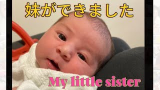 報告 I am a big sister now