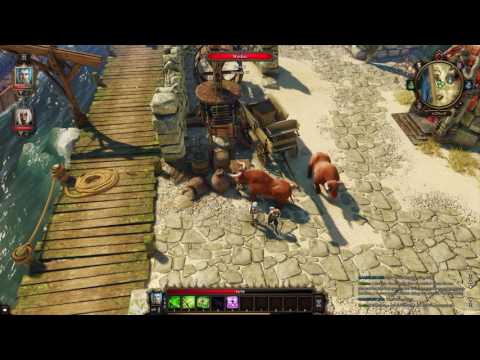 Divinity Original Sin Enhanced Edition The Town of Cyseal Part 4 Walkthrough