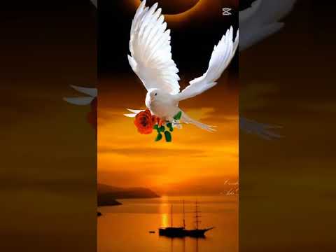 “Dios nunca llega tarde, Él obra en el momento perfecto Ministerio Adulam villa Mercedes San Luis