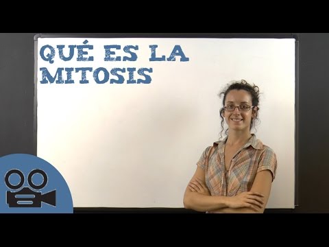 Todas las fases de la MITOSIS - ¡¡RESUMEN + IMÁGENES!!