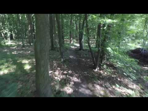 Schöner Trail Eisingen/Höchberg