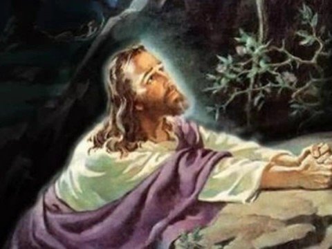 Click to Watch the HOMILY: On the Feast of St. Luke, Pray for Christian Physicians to Stand Strong as Faithful Witnesses video Click to Watch the HOMILY: On the Feast of St. Luke, Pray for Christian Physicians to Stand Strong as Faithful Witnesses video