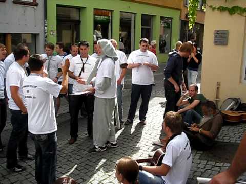 Stellenrain Spatzen live in Tübingen (Biene Maja)