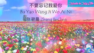 Lagu Mandarin Bu Yao Wang Ji Wo Ai Ni Lyrics (不要忘记我爱你歌词) - Zhang Bi Chen (张碧晨)