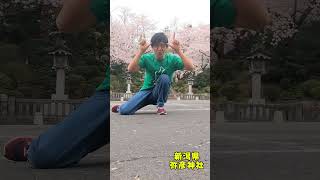 #sakura #japan #shorts #松阪牛 #新潟県 #桜 #三重県 #ギャグ #beef