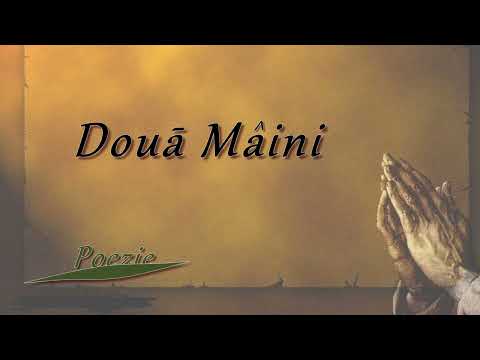 Două Mâini de-ar sta unite || Recital de poezie || Mihai Ghidora