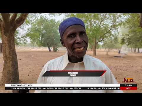 AM News | 8 June 2025 | NTA