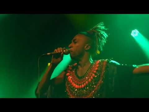 É proibido estacionar na merda | Caio Prado