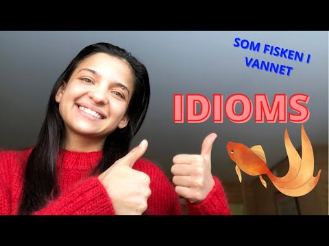 Idioms in NORWEGIAN|EXPRESSIONS|Norske UTTRYKK
