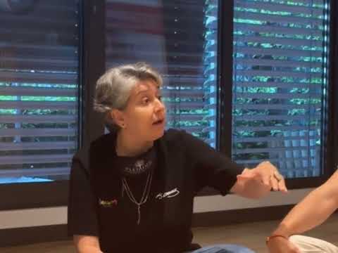 Pleiades Eğitim Programı