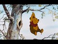 The Many Adventures Of Winnie The Pooh Little Black Raincloud French