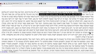 שבת שובה ע"פ שפת האמת (תרמ"ד)