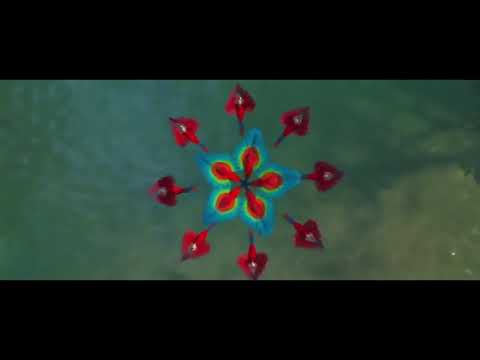 Rio 2011 Song all the birds of a feather