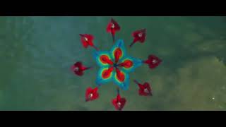 Cover art for all the birds of the feather